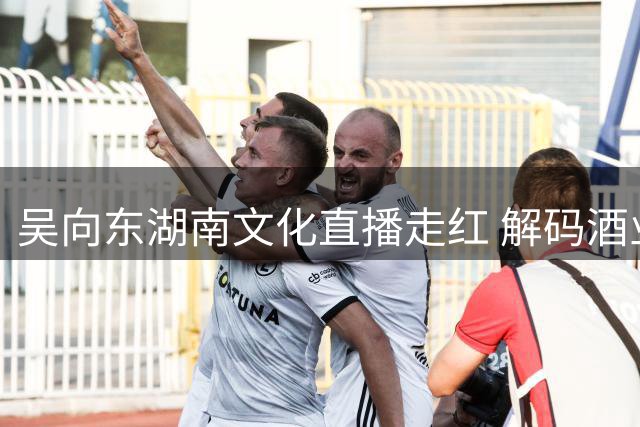 吴向东湖南文化直播走红 解码酒业营销新范式