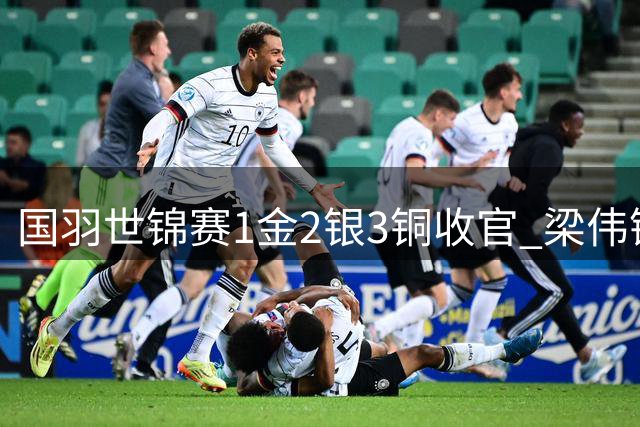 国羽世锦赛1金2银3铜收官 梁伟铿/王昶男双首秀夺冠