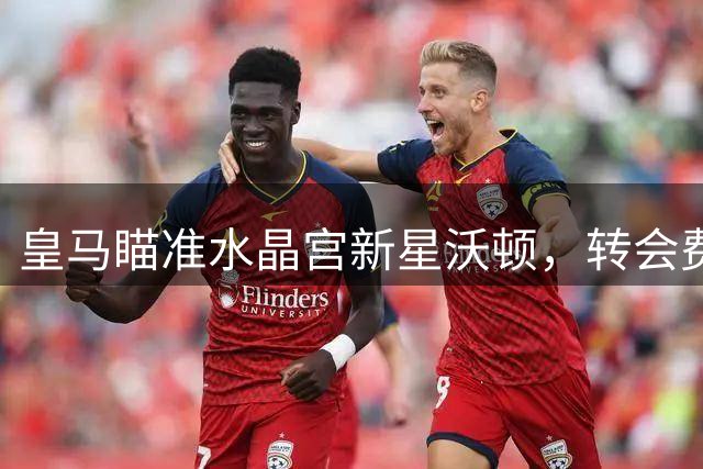 皇马瞄准水晶宫新星沃顿，转会费或成最大障碍